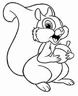 Squirrel Coloring Pages Cute Baby Cartoon Kids Print Template Para Ecureuil sketch template