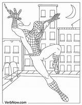 Spider Swinging Verbnow sketch template