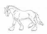 Paarden Dieren Volwassenen Paard Draft Animaatjes Equine Veulen Coloriages Kleuren Printen Mandala Afdrukken Lineart sketch template