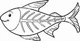 Fish Coloring Ray Pages Mysterio Rey Getcolorings Getdrawings Colouring Color Clip Colorings sketch template