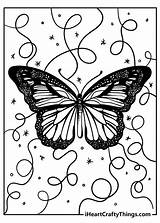 Butterflies Butterfly sketch template