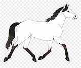 Horse Clipart Coloring Colouring Pages Outline Mustang Horses Clip Pretty Animal Pinclipart Transparent Info Sheet Line Nicepng Middle sketch template