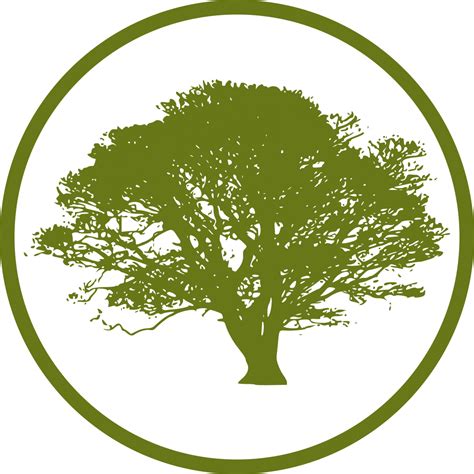 tree icon png tree icon png transparent