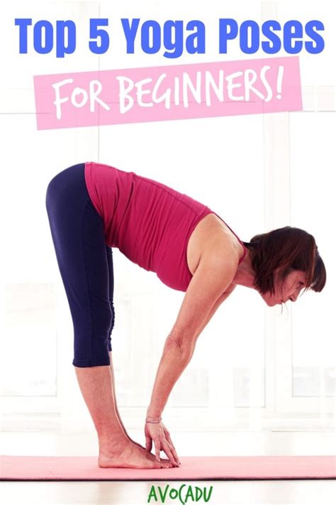 Top 5 Yoga Poses For Beginners Avocadu