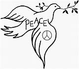 Dove Coloring Peace Line Clipart Cliparts Branch Olive Pages Clip Colouring Library Popular Coloringhome sketch template