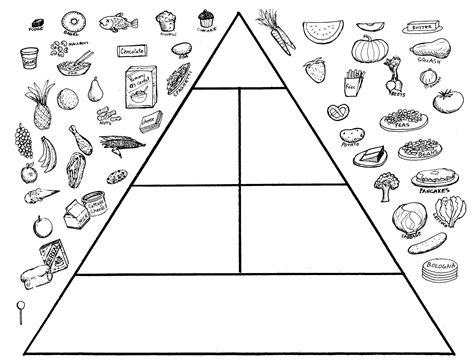 food pyramid worksheet  esl printable worksheets madeteachers
