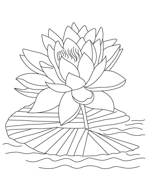 printable coloring pages lotus flowers coloring home