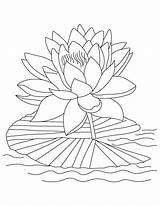 Coloring Lotus Pages Flower Popular Printable sketch template