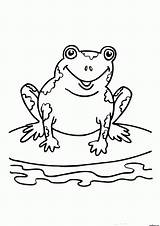 Frog Coloring Pages Printable Kids Frogs Print Princess Cute Sheets Colouring Bestcoloringpagesforkids Clipart Book Library Speckled Pix sketch template