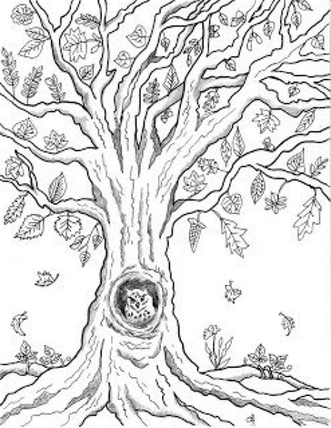 printable autumn owl tree coloring page  featured  great