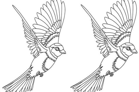 bird coloring pages jpg ai illustrator