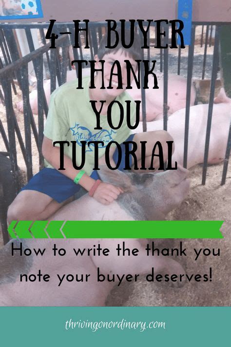 buyers letters  images showing livestock   ffa