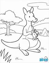 Coloring Baby Pages Mother Kangaroo Moms Animals Mom Color Printable Getcolorings Raccoon Coloringbay Print sketch template