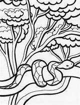 Tropical Rattlesnake Diamondback Clipartmag Designlooter sketch template