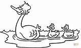 Patinhos Kaczka Patitos Kolorowanka Kolorowanki Druku Kaczuszki Kaczki Flamingi Kacza Wycieczka Jeziorze Malowanki Ptaki Ducklings Patos Categorias sketch template