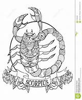 Scorpio Zodiac Scorpion Signe Colorir Zodiaque Colouring Fotolia Zodiaco Escorpi Escorpio sketch template