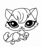Pet Coloring Shop Pages Littlest Lps Cat Printable Print Bobble Head Pom Madame Color Sheets Sketch Getcolorings Sports Kids Search sketch template