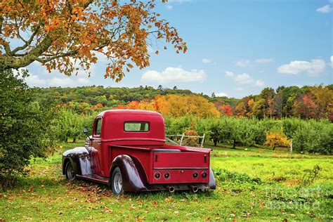 Antique Red Farm Truck In Autumn Apple Orchard Photograph By Leena Robinson