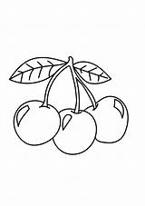 Cherries Cerezas Cereja Coloring4free Frutas Dibujosonline Cerejas Cereza Pintar Coloringonly sketch template