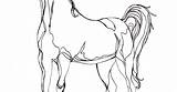 Horse Coloring Printable Easy sketch template