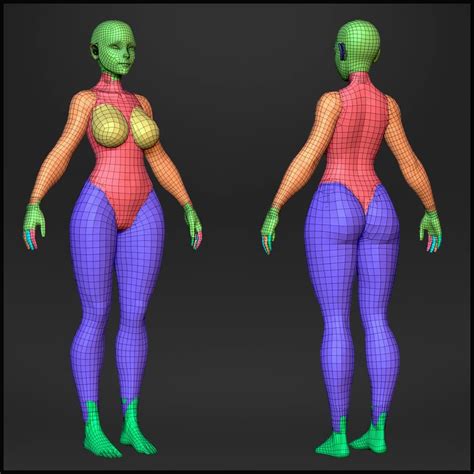 base mesh standard female flippednormals in 2020 3d model