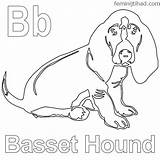 Basset Hound sketch template