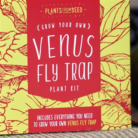 grow   venus fly trap plant kit  plants  seed