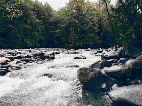 pengertian sungai fungsi jenis bagian  pola aliran air riset