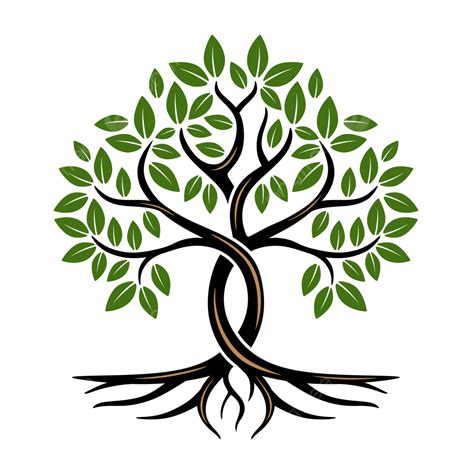 oak tree logo design tree logo green tree oak logo png  vector  transparent background