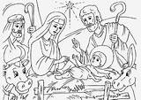 Nativity Presepe Colorare Disegni Sauvage27 sketch template