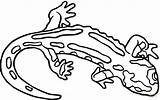 Salamander Coloring Pages Clip Printable Color Clipart Results sketch template