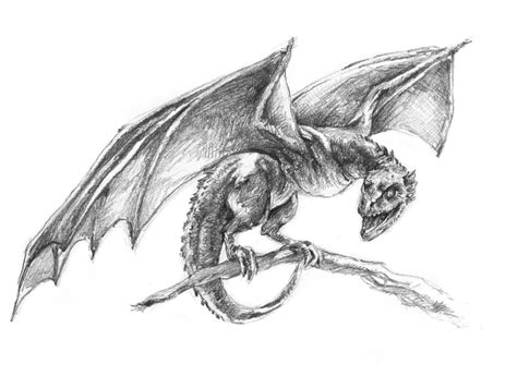 realistic dragon drawing  paintingvalleycom explore collection
