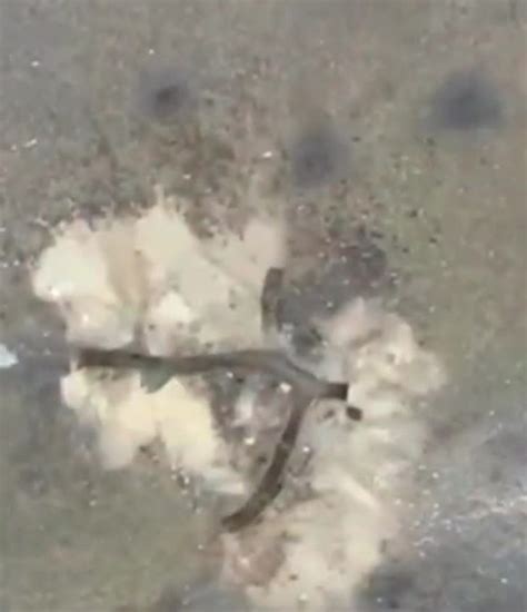 drone drops  vog  grenade   russian soldier livegorecom