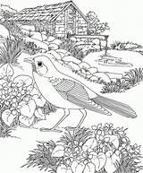 Robin Bestcoloringpagesforkids Coloring Pages sketch template