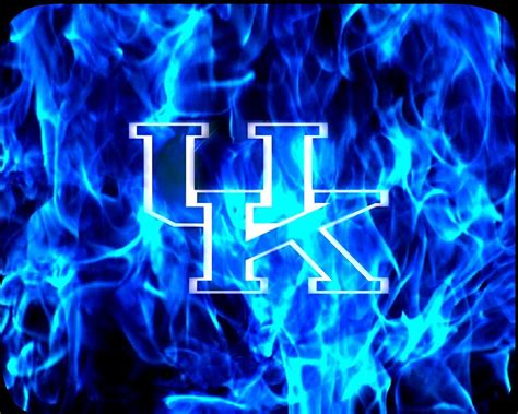 pics  kentucky wildcats