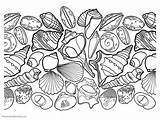 Coloring Pages Seashell Colouring Kids Printable Color Getcolorings Ones Pick Enjoy Without Some sketch template
