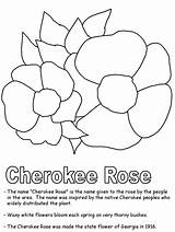 Cherokee Rose Coloring Indian Symbols State Ws Georgia Drawing Kid Kidzone Zone Printables States United Native American Sheets Visit Getdrawings sketch template