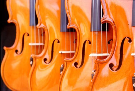 Violins Violini Viola Chitarre Musical Instruments