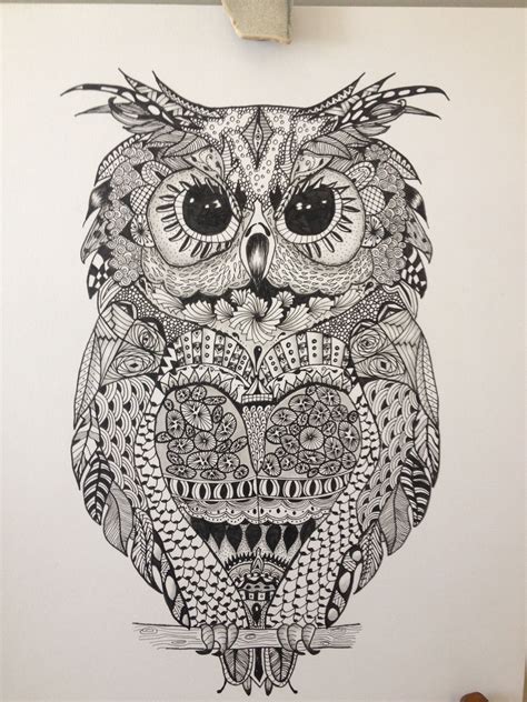 pin  mariam adel  zentangle owl art bird