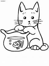 Gatto Gatti Katten Colorare Disegno Katzen Chats Coloriage Stampa Gatos Gatinho sketch template