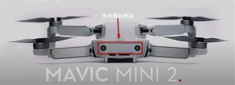 mavic mini  leaks  chrome drones