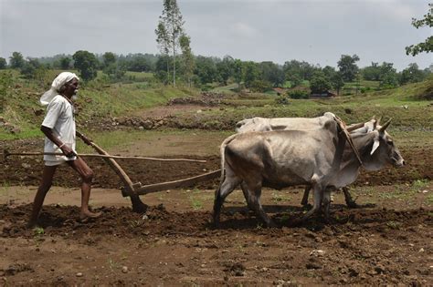 india election   indias farmers receiving