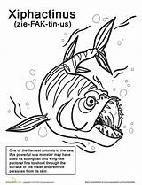 Coloring Fish Scary Pages Drawing Ray Xiphactinus Kids Awesome Animal Extinct Easy Week Looking Things Sea Drawings Getdrawings Color Creatures sketch template