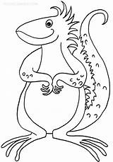 Iguana Pages Coloring Printable Cool2bkids sketch template