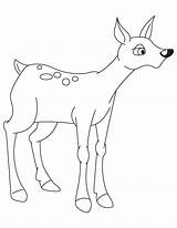 Fawn Cute Coloring Pages sketch template
