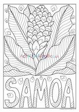 Colouring Samoa Flower National Pages Village Activity Explore sketch template