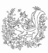 Skunk Coloring Pages sketch template