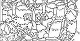 Rainforest Coloring Layers Getcolorings Printable sketch template