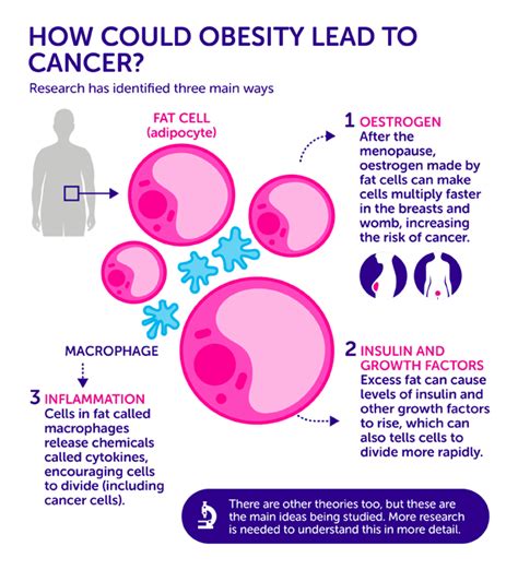 how exactly does obesity cause cancer three leading