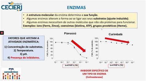 Proteínas Especiais Enzimas Youtube